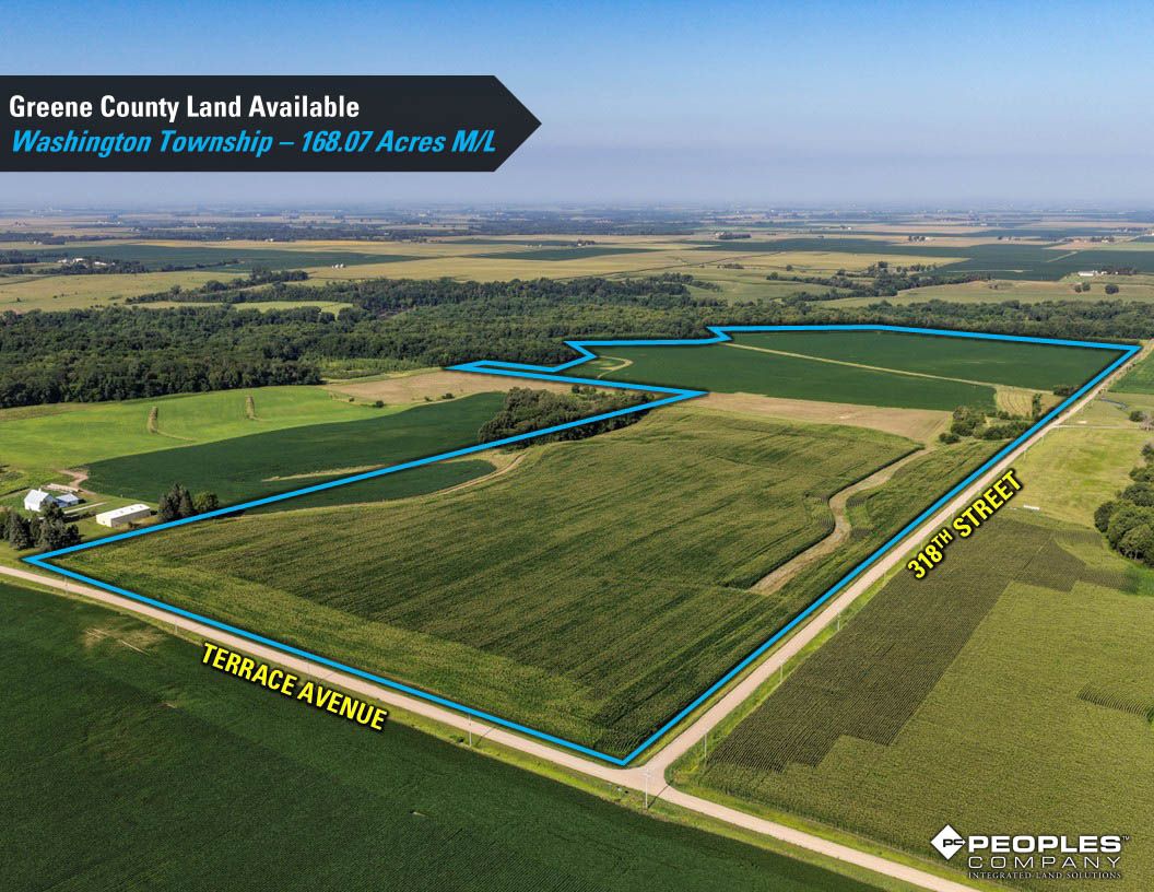 Listing Photo: Greene-County-Land-Available-168-Acres-19616 (20)